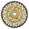Piñon-Sram-Xg-1299-Xx1-Eagle-10-50t-12v-chile-distribuidor-mtb-enduro-xc