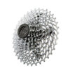 carnivalbikes-Piñon-Sram-Pg-1030-11-36t-10v-sram-chile