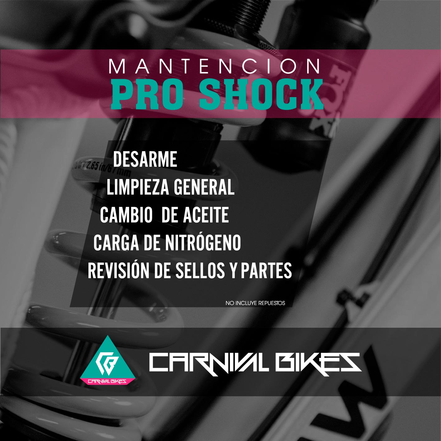 carnivalbikes-chile-mantencion-pro-shock-full