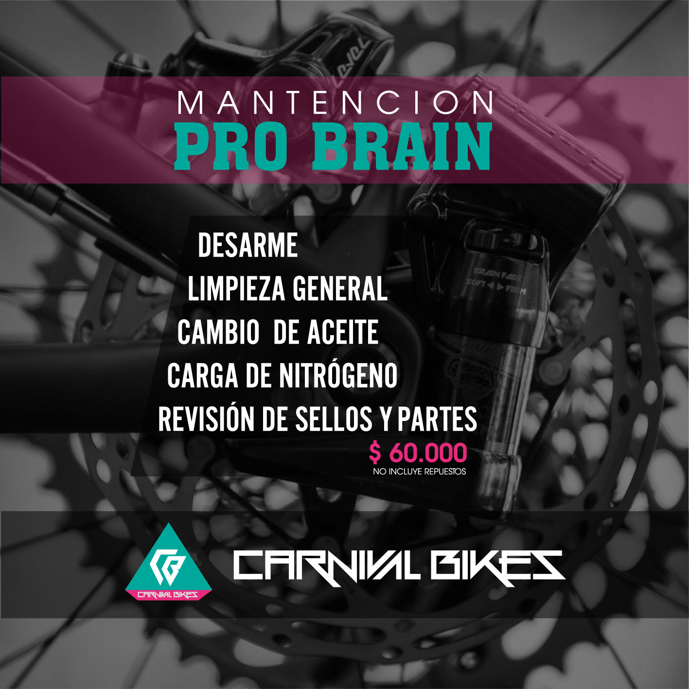 carnivalbikes-ficha-mantencion-Pro-Brain-sistema-specialized-taller-mecanico-santiago-chile-bicicleta-crosscountry-xco-xcm