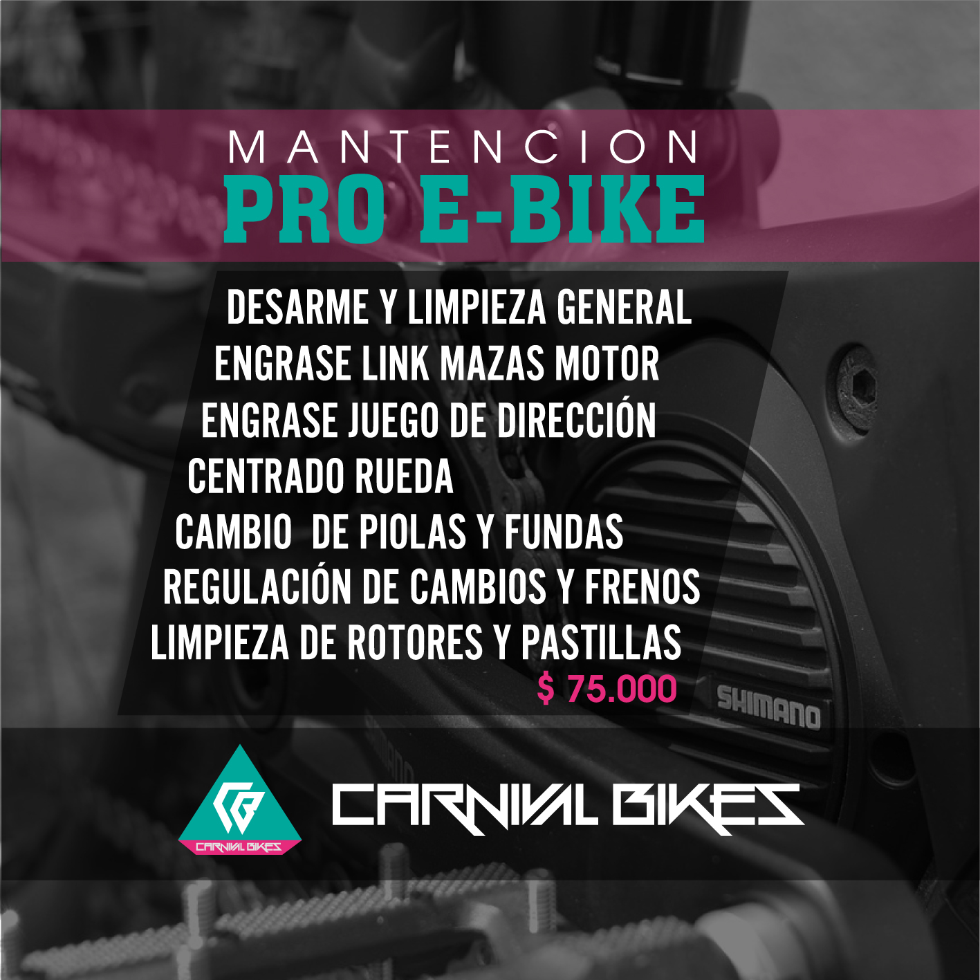 carnivalbikes-mantencion-Pro-E-Bike-bicicleta-electrica-full-desarme-y-limpieza-general-engrase-link-maza-motor-regulacion-cambio-y-frenos-cambio-piolas-y-fundas