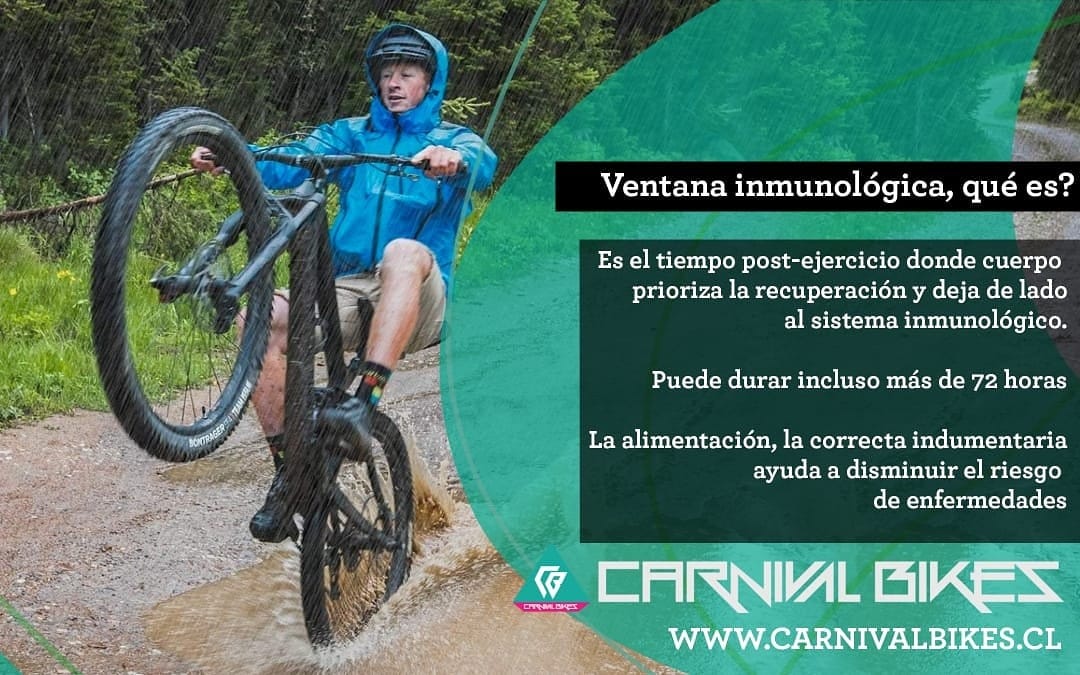 que-es-la-ventana-inmunologica-carnivalbikes-tienda-ciclismo-chile-bicicleta-enduro-ruta-mtb-triatlon
