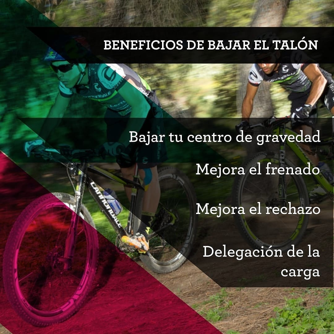 beneficios-de-bajar-el-talon-carnivalbikes-chile-tienda-de-bicicleta-ciclismo-enduro-xco-xc-gravel-ruta-consejos-datos-carnitips