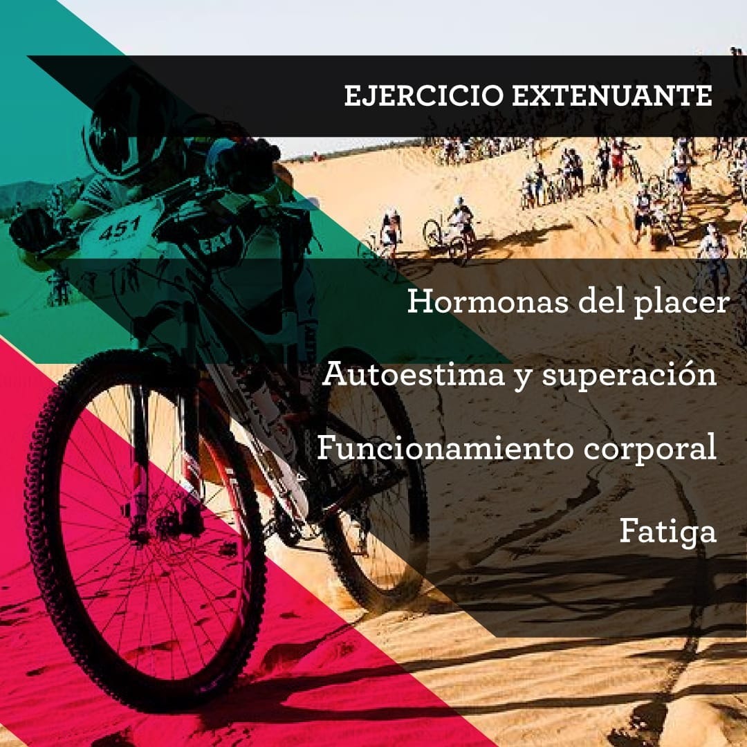 ejercicio-extenuante-carnivalbikes-chile-tienda-de-bicicleta-ciclismo-enduro-xco-xc-gravel-ruta-consejos-datos-carnitips-salud-fatiga-extenuante