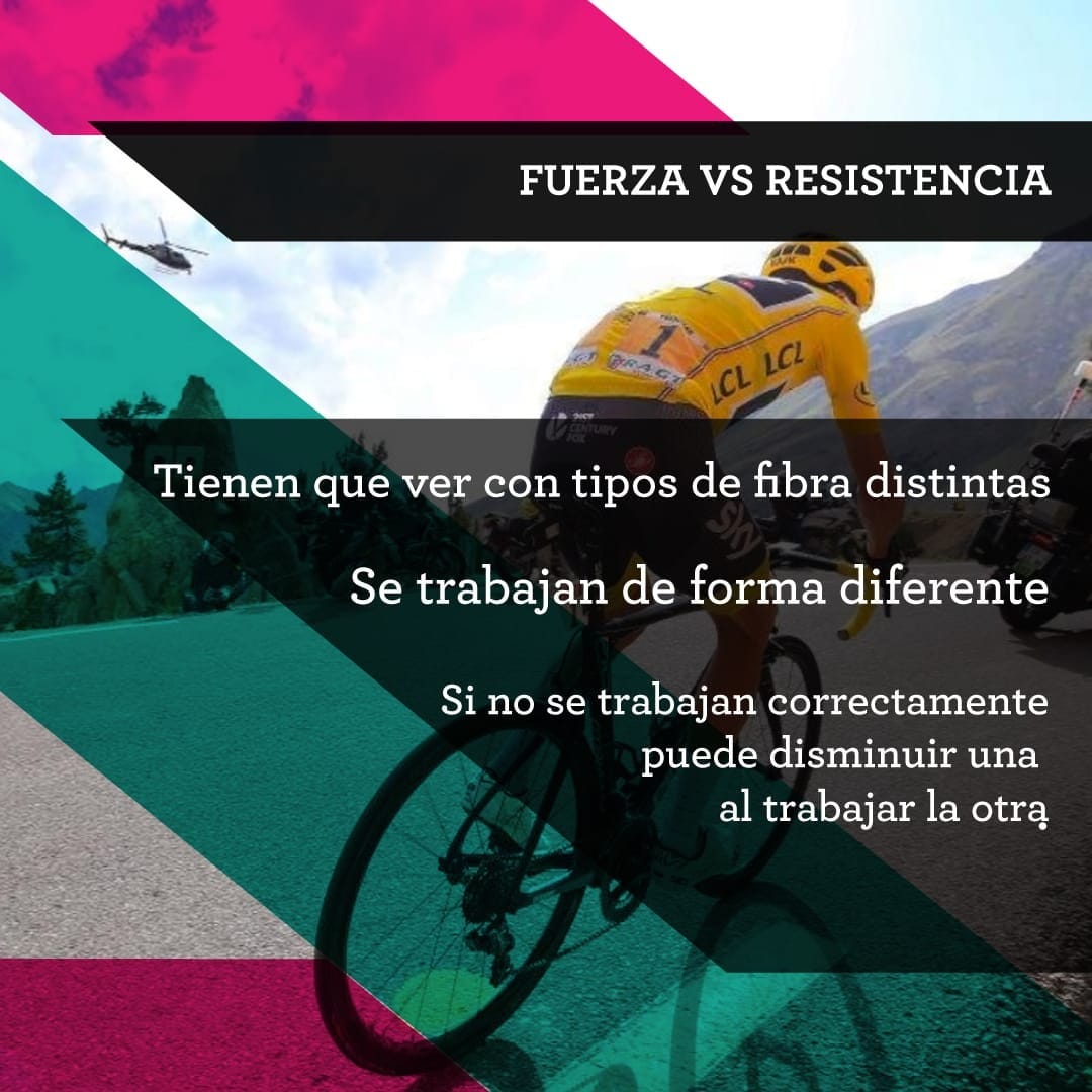 fuerza-vs-resistencia-carnivalbikes-chile-tienda-de-bicicleta-ciclismo-enduro-xco-xc-gravel-ruta-consejos-datos-carnitips