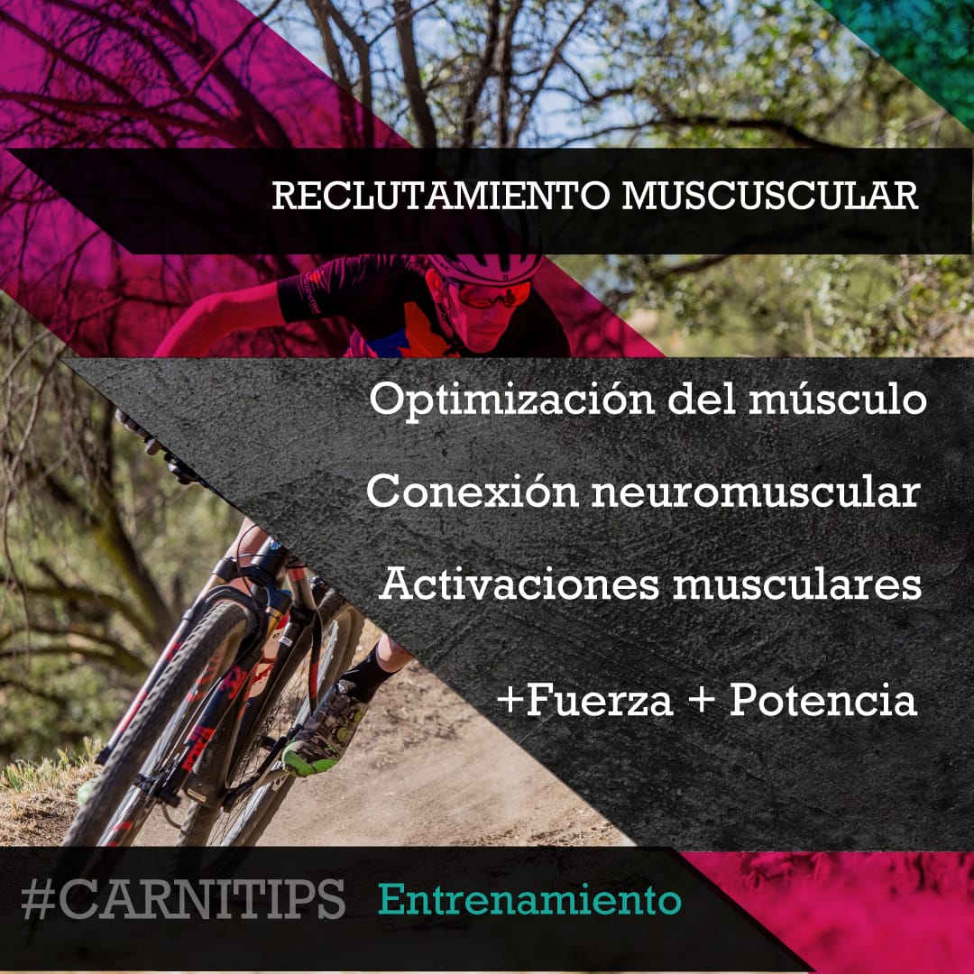 reclutamiento-muscular-entrenamiento-carnivalbikes-carnitips-tienda-de-bicicletas-y-ciclismo-barata-indumentaria-componentes-mtb-enduro-ruta