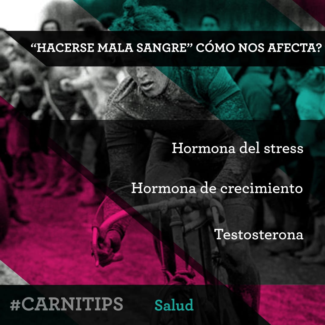 hacerse-mala-sangre-carnivalbikes-carnitips-tienda-de-bicicletas-y-ciclismo-barata-indumentaria-componentes-mtb-enduro-ruta