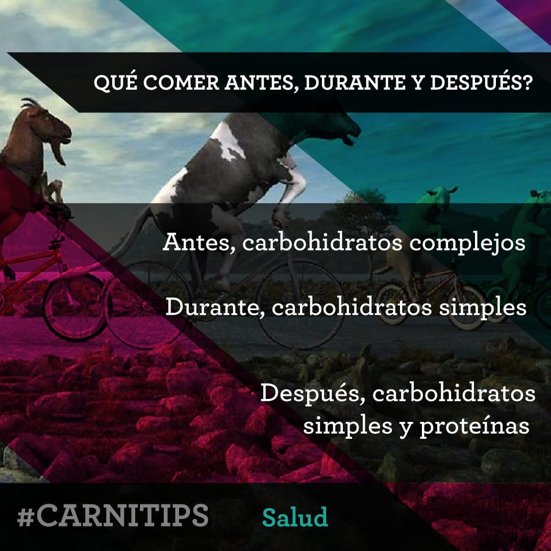 que-comer-antes-y-despues-carnivalbikes-carnitips-tienda-de-bicicletas-y-ciclismo-barata-indumentaria-componentes-mtb-enduro-ruta