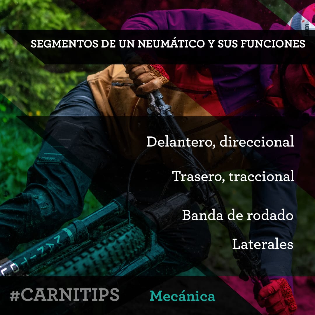 segmentos-de-un-neumatico-y-sus-funciones-carnivalbikes-carnitips-tienda-de-bicicletas-y-ciclismo-barata-indumentaria-componentes-mtb-enduro-ruta