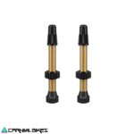 carnivalbikes-Valvula-tubeless-Wtb-Brass-Dorada-46mm-2-Pcs-chile-tienda-de-bicicleta-componente-despacho-envio-rapido
