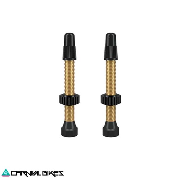 carnivalbikes-Valvula-tubeless-Wtb-Brass-Dorada-46mm-2-Pcs-chile-tienda-de-bicicleta-componente-despacho-envio-rapido