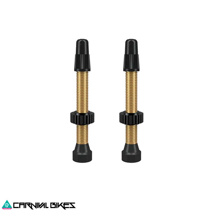 carnivalbikes-Valvula-tubeless-Wtb-Brass-Dorada-46mm-2-Pcs-chile-tienda-de-bicicleta-componente-despacho-envio-rapido