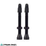 carnivalbikes-Valvula-tubeless-Wtb-Brass-negro-46mm-2-Pcs-chile-tienda-de-bicicleta-componente-despacho-envio-rapido
