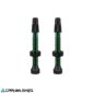carnivalbikes-Valvula-tubeless-Wtb-Brass-verde-46mm-2-Pcs-chile-tienda-de-bicicleta-componente-despacho-envio-rapido