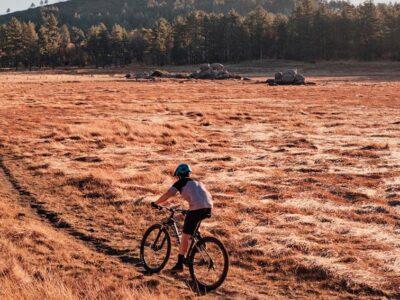 carnivalbikes-bicicleta-xc-giant-talon-Crosscountry-da-infinitas-salidas-al-cerro-y-diversion-por-monton-chile-tienda-ciclismo-venta