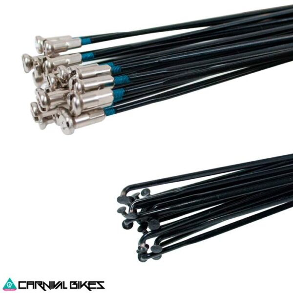 carnivalbikes-chile-Rayos-Delantera-Shimano-Wh-R501-30-set-tienda-venta