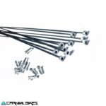 carnivalbikes-chile-Rayos-Trasera-Shimano-Dura-Ace-Wh-7801-Carbon-set-tienda-venta