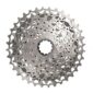 carnivalbikes-chile-Piñon-ruta-SRAM-Rival-XDR-XG1250-10-36T-12V-Plata-envio-a-todo-el-pais